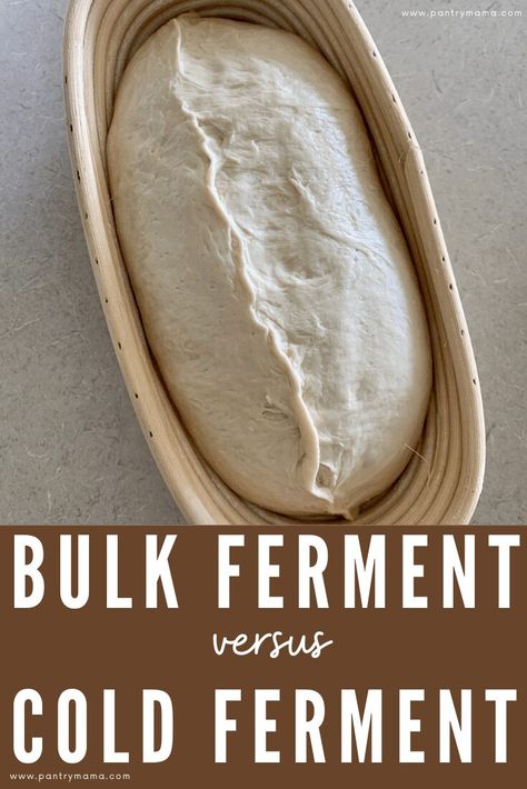 Bulk ferment vs cold ferment - what are the differences and why are they not interchangeable? How to get your fermentation right. Sourdough Bread Cold Ferment, Fermented Bread Recipe, Over Fermented Sourdough, Long Fermented Sourdough Bread, Sourdough Cold Fermentation, Bulk Sourdough Recipe, Cold Ferment Sourdough, Cold Proofing Sourdough, Fermented Sourdough Recipes