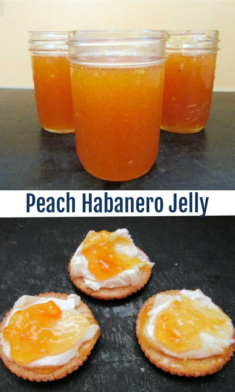 Turn peaches and fruity hot habanero peppers into a delicious sweet and spicy preserves. It is perfect on wings or with cream cheese and crackers. Peach Habanero Jam Recipes, Recipes For Habanero Peppers, Canned Habanero Peppers, Habanero Peach Jam, Peach Hot Pepper Jelly Recipe, Spicy Jelly Recipes, Recipes Using Habanero Peppers, How To Preserve Habanero Peppers, Peach Hot Pepper Jelly