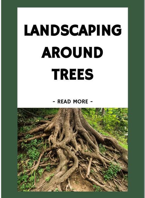 Landscaping Ideas Around Tree Roots: Transform Your Garden - The Real Gardener Tall Ornamental Grasses, Creative Landscaping, Landscaping Around Trees, Tree Bed, Summer Gardening, Building A Raised Garden, Rock Gardens, Garden Help, Garden Equipment