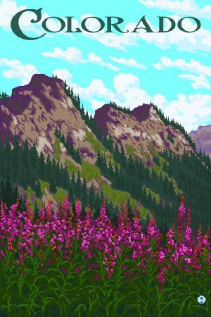 Fireweed and Mountains - Colorado (24x36 Giclee Gallery Print, Wall Decor Travel Poster) Frisco Colorado, Vintage Montana, Steamboat Springs Colorado, Whitefish Montana, Colorado Art, Retro Travel Poster, Steamboat Springs, Great Smoky Mountains National Park, Smoky Mountain National Park