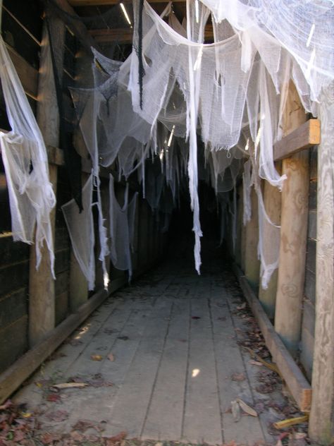 Spider tunnel in the Harvest Haunt at http://libertyridgefarmny.com/    Upstate NY (What's at the end of this tunnel??) Need help making YOUR haunt even scarier? Contact us....727-608-6868 Halloween Decorations From Cardboard, Halloween Decorations Indoor Scary, Haunted Maze, Halloween Maze, Halloween Party Decor Diy, Dekorasi Halloween, Haunted House Diy, Scary Halloween Decorations Diy, Halloween Fest