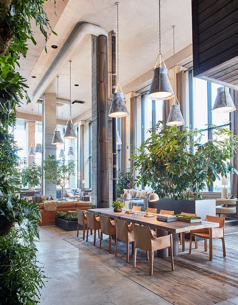 Built for Brooklyn -  The new 1 Hotel outpost embraces the darker side of nature. Brooklyn Bridge Pictures, 1 Hotel Brooklyn Bridge, 1 Hotel, Brooklyn Bridge Park, Park Pictures, Lobby Design, Hotel Boutique, Hotel Interiors, Design Hotel