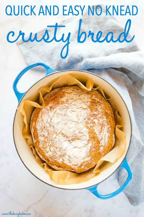 This Quick and Easy No Knead Crusty Bread is a fast version of the classic 4-ingredient artisan bread - no overnight rise and no kneading, soft and fluffy inside with the perfect crispy crust! Recipe from thebusybaker.ca! #homemadebread #crustybread #bakerybread #artisanbread #dutchovenbread #bread #baking #yeast Quick No Knead Bread, Bread For Two, No Knead Crusty Bread, French Breads, Small Batch Baking, Dutch Oven Bread, Fantastic Recipes, Bake Bread, Homemade Breads