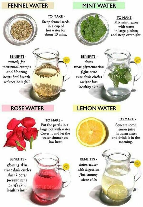 Tropical Loophole Weight Loss Naturally | Join Now Fennel Seeds Benefits For Hair, Fennel Water Recipe, Fennel Water Benefits, Fennel Seeds Water Benefits, Fennel Benefits Women, Healthy Energy Drinks, Food Health Benefits, Infused Water Recipes, Healthy Drinks Smoothies