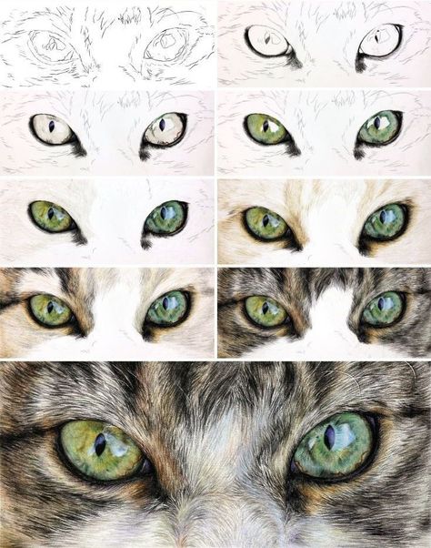 Realistic Eye Drawing, Pencil Drawing Tutorials, Colored Pencil Techniques, Colored Pencil Drawing, Watercolor Cat, Art Instructions, Color Pencil Art, Color Pencil Drawing, Popular Color