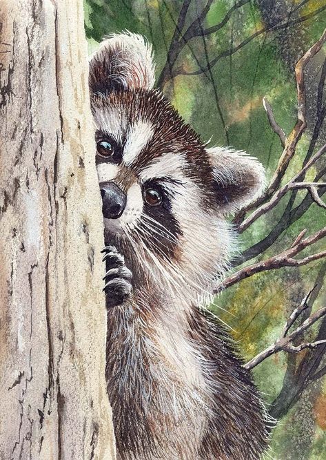 Raccoon Art, Animals Watercolor, Wildlife Paintings, Arte Animal, Woodland Creatures, Rodents, Watercolor Animals, Wildlife Art, Chipmunks