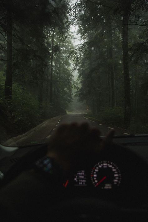 Driving Aesthetic, Dark Naturalism, Dark Green Aesthetic, Dark Paradise, Night Driving, Dark Photography, Night Aesthetic, Nature Aesthetic, Dark Forest