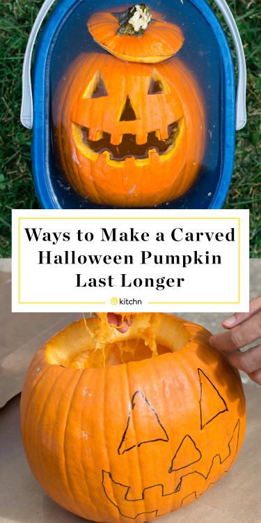 How Long Do Carved Pumpkins Last - Preserve Longer Tips | Kitchn Preserve Carved Pumpkin, Preserving Pumpkins, Pasteles Halloween, Carve A Pumpkin, Homemade Bleach, Pumpkin Carving Patterns Free, Pumpkin Carving Tools, Pumpkin Carving Party, Easy Pumpkin Carving