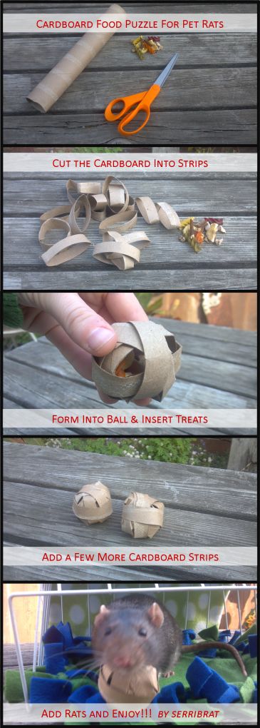 Tutorial: Cardboard Food Puzzle | serribrat's pet rat page Diy Hamster Toys, Diy Rat Toys, Diy Bunny Toys, Gerbil Toys, Rattus Rattus, Food Puzzle, Hamster Diy, Hamster Habitat, Rat Toys