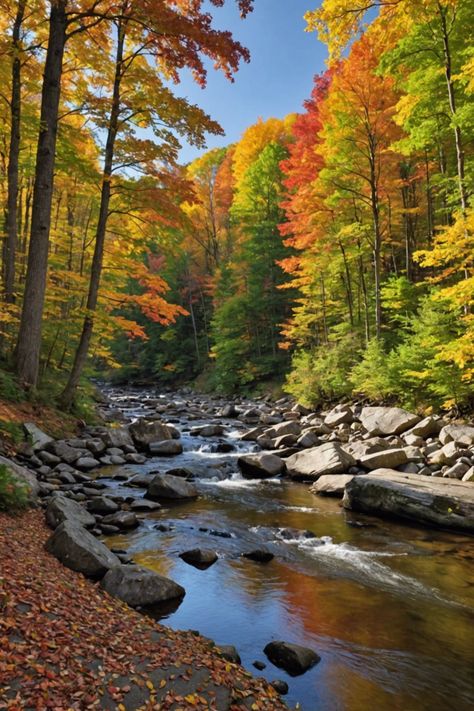 Autumn Glory: Capturing the Best Fall Foliage Spots in Upstate New York Roscoe New York, The Adirondacks New York, Fall Creek Falls State Park, Upstate New York Fall, Butterfly Cycle, Ithaca Falls, Candlewood Lake, Watkins Glen State Park, Ithaca New York