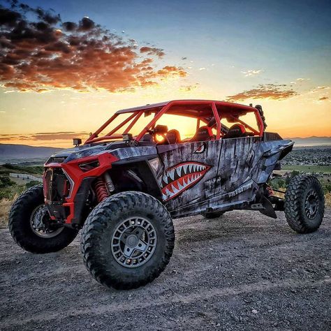 Kawasaki Dirt Bikes, Polaris Off Road, Buggy Racing, Polaris Utv, Go Kart Buggy, Polaris Rzr 1000, Cool Dirt Bikes, Off Road Buggy, Rzr 1000