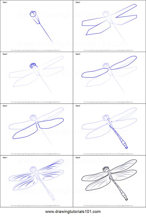 Dragon Fly Drawing Simple, How To Draw A Dragonfly, Draw A Dragon, Dragonfly Drawing, Fly Drawing, Drawing Sheet, Dragon Fly, Step Drawing, Navy Fabric