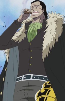 Crocodile One Piece, Piece Pfp, Fruit Du Demon, Sir Crocodile, Iconic Anime, Manga Pfp, Free Crop, Zoro One Piece, One Piece Drawing