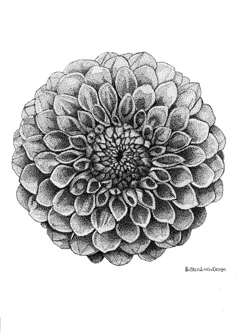 Black And White Dahlia Tattoo, Small Dahlia Flower Tattoo, Dalia Flower Drawing, Dahlia Sketch, Dahlia Flower Tattoo, Dahlia Flower Tattoos, Dalia Flower, Dotwork Art, Dahlia Tattoo