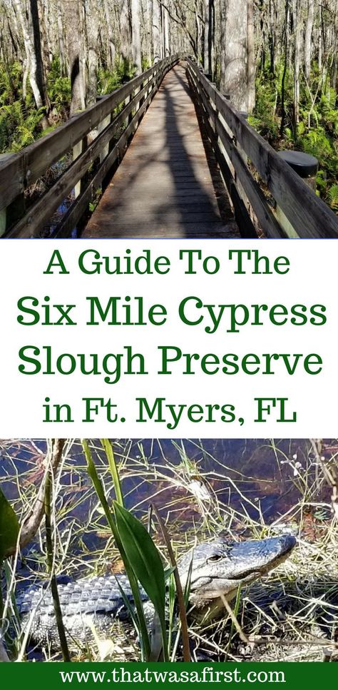 Ft Myers Florida, Fort Myers Beach Florida, Southern Travel, Florida Adventures, Vacation Florida, Travel Secrets, Florida Trip, Fort Myers Beach, Southwest Florida