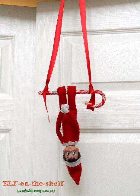 Elf Hanging from Candy Cane Awesome Elf On The Shelf Ideas, Elf Magic, Xmas Elf, Elf Antics, Elf Fun, Christmas Preparation, Buddy The Elf, Elf On The Shelf Ideas, An Elf