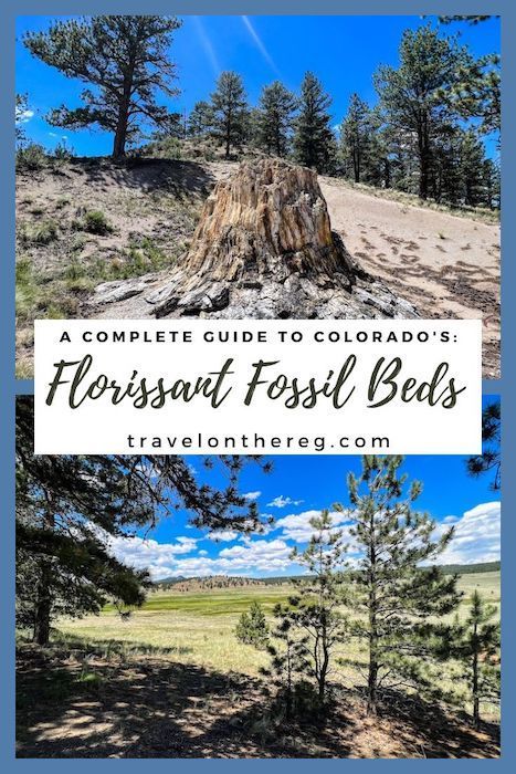 Petrified tree stumps and views of meadows with text: A complete guide to Colorado's Florissant Fossil Beds Florissant Colorado, Colorado National Parks, Colorado National Monument, Visit Colorado, Colorado Vacation, Colorado Travel, Rocky Mountain National Park, Travel Planning, Packing Tips For Travel