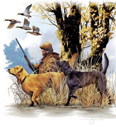 Hunting Sublimation, Walker Dog, Duck Hunt, Fishing 101, Hunting Art, Archery Equipment, Background Print, Bowfishing, Dog Png