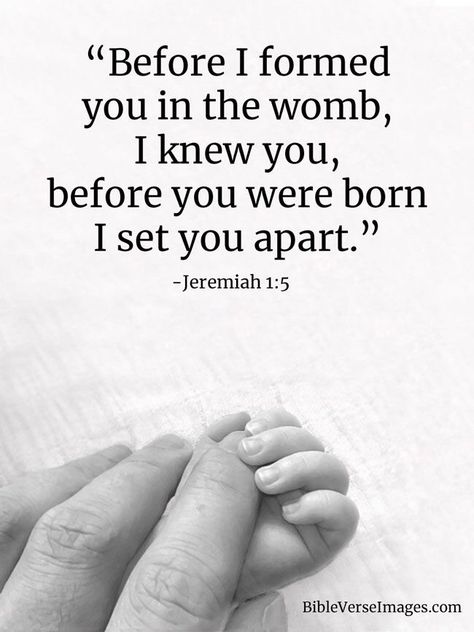 Baby Bible Verses, Jeremiah 1 5, Jeremiah 1, Best Bible Verses, Powerful Bible Verses, Inspirational Bible Quotes, Bible Verses Quotes Inspirational, Inspirational Bible Verses, Favorite Bible Verses