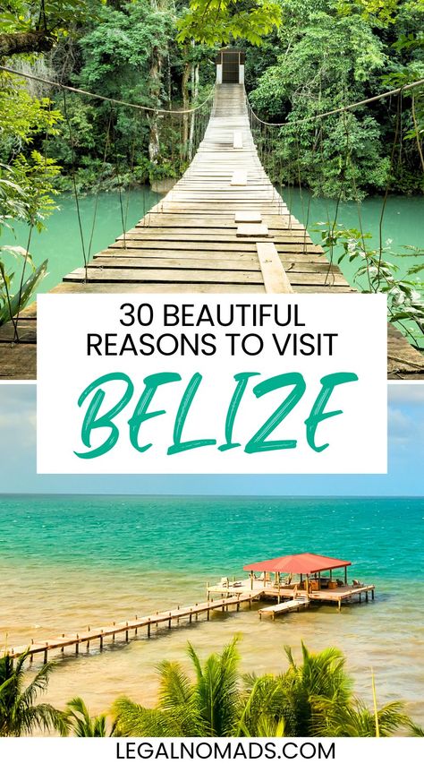 30 Beautiful Reasons to Visit Belize Great Blue Hole Belize, Blue Hole Belize, Things To Do In Belize, Belize Honeymoon, Belize Travel Guide, Travel Belize, Belize Vacation, Great Blue Hole, Ambergris Caye Belize