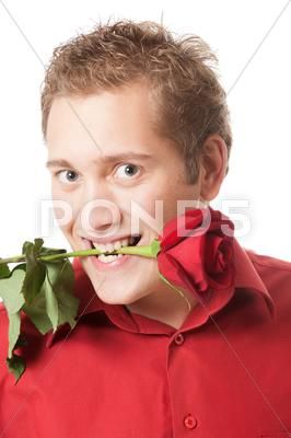 Young man holding a red rose in his mouth Stock Photos #AD ,#holding#red#Young#man Holding A Rose Reference, Rose In Mouth, Photoshop Png, Model Release, Photo Reference, Premium Photo, Red Rose, Red Roses, Art Reference