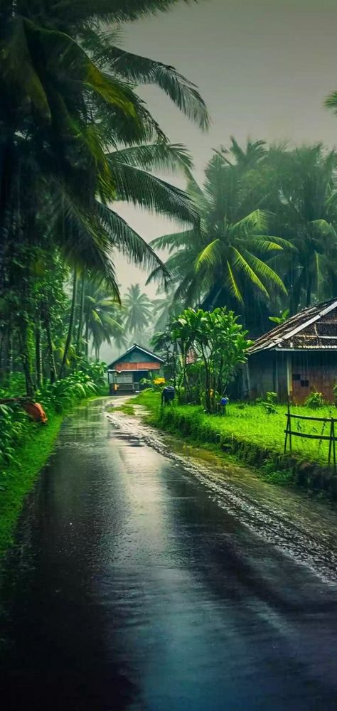 Kerala Monsoon, Animated Photos, Wallpaper Gallery, Kerala, Wallpapers