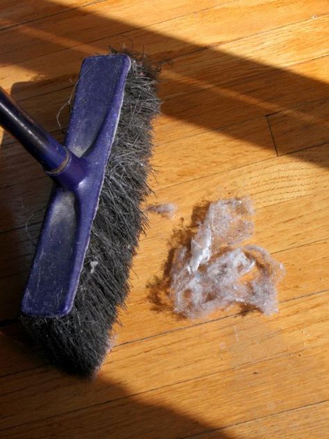 Does dust settle on surfaces minutes after you've cleaned them? Here are some tips for getting rid of dust — not just moving it around. Decorating Home, Homemade Cleaning Products, Household Cleaning Tips, Cleaning Recipes, Cleaners Homemade, Diy Household, Natural Cleaning Products, House Cleaning Tips, Diy Cleaning Products