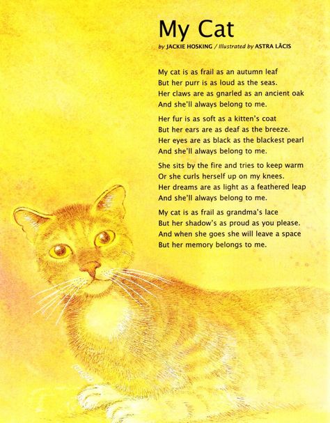 Poems About Cats, Pet Prayers, School Poems, Homemade Cat Treats Recipes, Dog Poetry, Short Cat, Cat Poems, Poems About School, Rhyming Poems