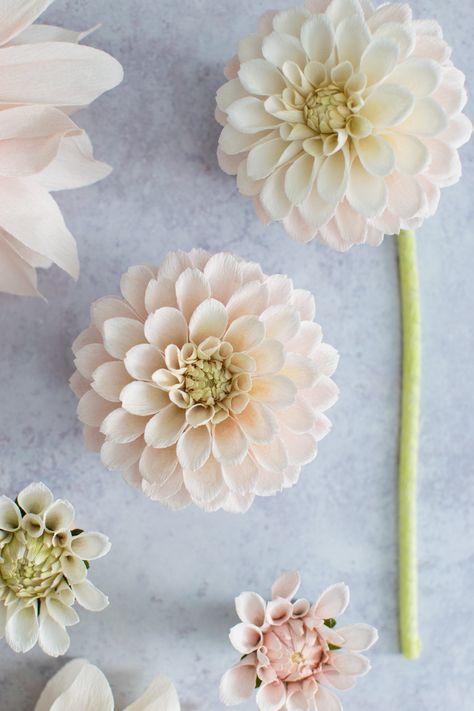 Paper Flower Hanging, Paper Flowers Decoration, Sugarcraft Flowers, Crepe Flowers, Flower Dahlia, Flora Vintage, Crepe Paper Flower, Diy Fleur, Wafer Paper Flowers