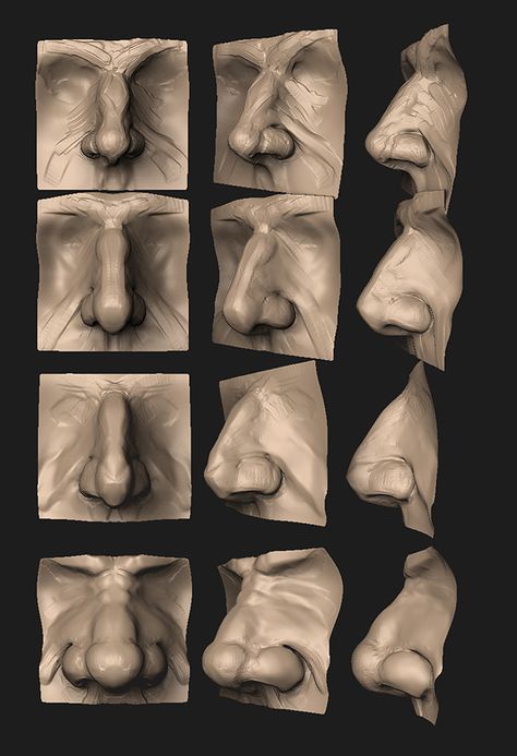 Male Nose, Wood Carving Faces, Anatomy Practice, Anatomy Sculpture, Sculpture Techniques, Face Carving, Anatomy For Artists, Wood Carving Patterns, Poses References