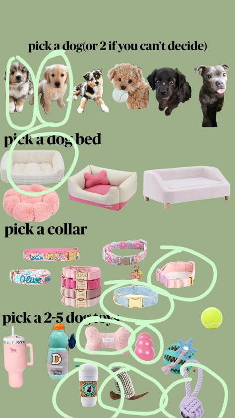 #dogs #pitbul #cute #animals #fyp #love Girl Puppy Accessories, Pick One From Each Row, 6th Grade Tips, Travelling Essentials, Dog Supplies List, Cute Dog Stuff, White Loft Bed, Puppy Essentials, Puppy Items