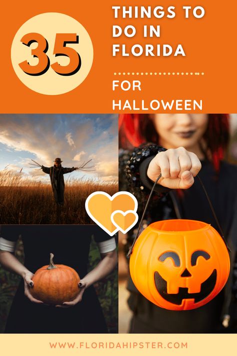 35 Scary and Fun Things to Do in Florida for Halloween (2022) - Florida Hipster Florida Halloween, Universal Halloween Horror Nights, Halloween Safety Tips, Things To Do In Florida, America Theme, Halloween Safety, Halloween Bar, Haunted Attractions, Scary Halloween Party