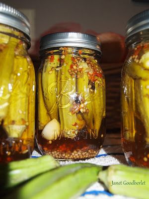 Canning Pickled Okra, Pickled Okra Recipes, Quick Pickle, Quick Pickles, Pickle Vodka, Pickled Okra, Canning Pickles, Spicy Pickles, Canning Vegetables