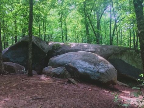 Big Rock Nature Preserve – Charlotte, North Carolina - Atlas Obscura Rock Nature, Environment References, Congratulations Photos, Rock Landscape, Big Rock, Charlotte North Carolina, Nature Preserve, Space Rock, Natural Rock