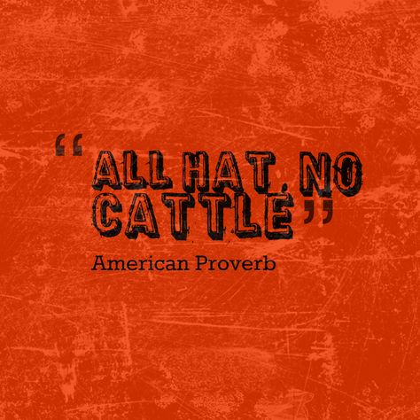 All hat, no cattle. American proverb Ancient Proverbs, Motivational Bible Quotes, American Proverbs, Strong Motivational Quotes, English Major, Proverbs Quotes, Reading Quotes, Literary Quotes, Great T Shirts