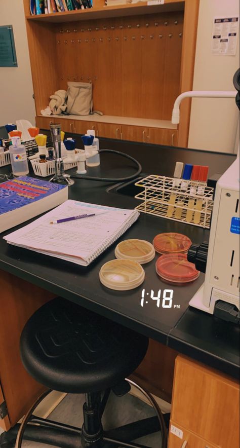 University of Scranton Science Lab Asethic, Medical Research Lab Aesthetic, Clinical Lab Scientist, Med Lab Tech Aesthetic, Medical Laboratory Scientist Aesthetic, Medtech Student Aesthetic, Lab Job Aesthetic, Lab Internship Aesthetic, School Science Lab Aesthetic