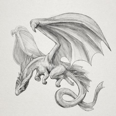 A Flying Dragon | Pencil drawings of animals, Dragon sketch, Fantasy  illustration Realistic Dragon Drawing, Easy Dragon Drawings, Fly Drawing, Realistic Dragon, Pencil Drawings Of Animals, Dragon Sketch, Dragon Images, Dragon Pictures, Dragon Artwork