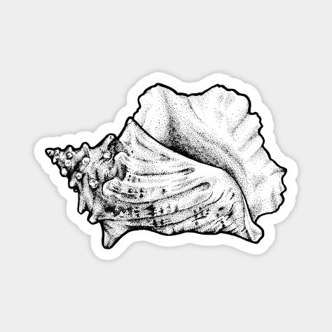 Conch Salad, Shell Sticker, Tupac Art, Shell Drawing, Shell Tattoos, Tribute Tattoos, Conch Shells, Tattoo Project, The Bahamas