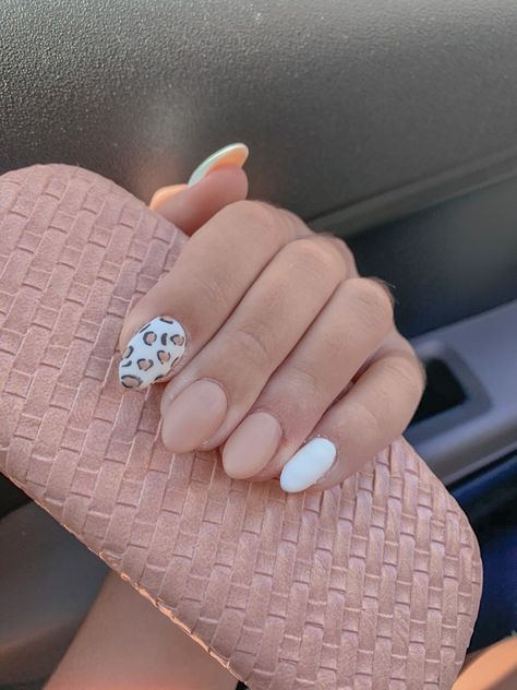 Cheetah Print French Tip Nails Almond, White Cheetah Print Nails, White Cheetah Nails, White Nails Cheetah Print, Pink Cheetah Print Nails French Tip, Light Pink Cheetah Nails, Pink Cheetah Nails, Pale Pink Leopard Print Nails, White Cheetah Print