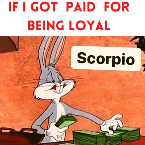 Scorpio Zodiac Memes Funny, Scorpio Meme, Social Media Meme, Scorpio Funny, Zodiac Funny, Zodiac Memes, Scorpio Zodiac, Intj, True Quotes