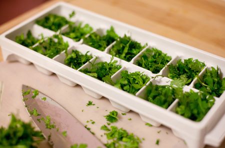 10 Easy Ways to Preserve Herbs | Basil | Boston Organics How To Preserve Fresh Herbs, Preserving Fresh Oregano, Preserve Rosemary, How To Preserve Herbs From The Garden, Preserve Basil Leaves Fresh Herbs, Fresh Herb Recipes, Preserving Herbs, Microwave Cooking, Organic Vegetables