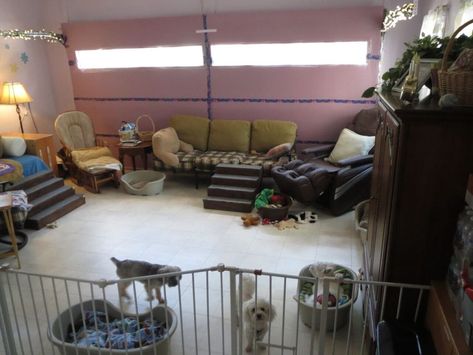 Converted Garage - Playroom Dog Area Garage, Garage Converted To Dog Room, Garage Into Dog Room, Convert Garage To Playroom, Garage Sitting Area Ideas, Dog Sitting Business, Garage Playroom, Sanctuary House, Garage Transformation