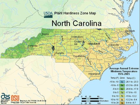 North Carolina Planting Zone Map Small North Carolina Gardening, Planting Zones Map, Vegetable Planting Calendar, River Ideas, Vegetable Planting Guide, Nc Map, Plant Hardiness Zone Map, When To Plant Vegetables, North Carolina Map