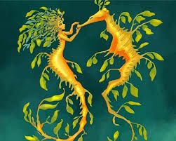 Leafy Sea Dragon - Paint By Numbers - Numeral Paint Sea Dragon Mermaid, Seahorse Mermaid, Dragon Mermaid, Leafy Sea Dragon, Sea Creatures Art, Masterpieces Painting, Seahorse Art, Fantasy Mermaids, Mermaid Drawings