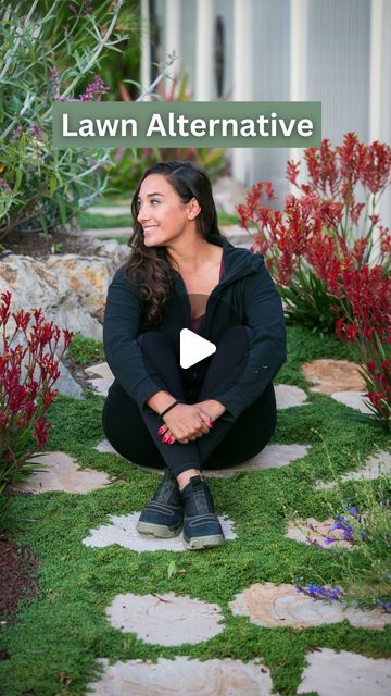 Sara Bendrick | Landscape Contractor on Instagram: "Are you looking for a ground cover plant that mimics the look of a lawn without the high water usage and mowing hassle? 

Check out Rushia ‘Nana’—the perfect dwarf ground cover for your garden! This amazing plant grows to about 1 to 2 inches tall and spreads beautifully. Not only does it grow densely, but it also helps retain moisture in the soil. 

We planted these in plugs for our client, spacing them about nine inches apart, and within a year, they provided full coverage. Depending on your location and watering schedule, you might even see quicker results.

Follow for more plant tips, and save this post if you’re considering a switch to a low-maintenance ground cover.

What do you think about using Rushia ‘Nana’ as a lawn alternative? Planting Ground Cover, Low Growing Ground Cover, Lawn Alternative, Lawn Alternatives, Plant Tips, Climate Zones, Landscape Inspiration, 1 Y 2, Ground Cover Plants