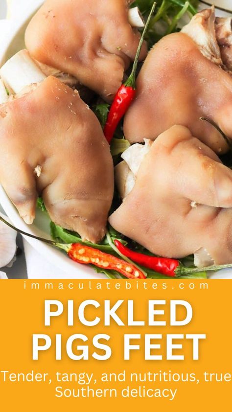 Pickled Pigs’ Feet – Tender, tangy, and nutritious, pickled pigs’ feet are a true Southern delicacy. And they add flavor to Mexican dishes as well. They make for a beautiful burst of flavor in various other dishes, including tostadas, salads, grit cakes, and more. Bbq Pig Feet Recipe, Pickled Pigs Feet Recipe, Trotters Recipe, Pig Feet Recipe, Pickled Meat, Pickled Sausage, Offal Recipes, Grit Cakes, Dinner Party Dishes