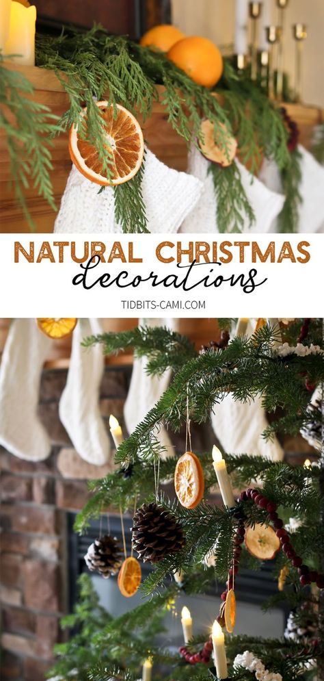 Be inspired to use Natural Christmas Decorations - dried oranges, apples, cranberry strings, popcorn strings, pinecones and fresh greenery. #camitidbits #naturalchristmas #nature #christmasdecoration #popcornstrings Christmas Tree Decorations Blue, Natural Christmas Decorations, Williamsburg Christmas, Natural Christmas Tree, Red And Gold Christmas Tree, Natural Christmas Decor, Orange Christmas, Minimal Christmas, Natural Christmas