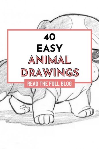 Sketching animals can be one of the most fulfilling ways to express your artistic tendencies, and I have collected together some ideas to help and inspire you along the way. Here are 40 easy animal sketch drawing ideas for inspiration, with some ideas to try and help you and some talk of the lessons I have learnt myself. Sketch Drawing Ideas, Animal Sketches Easy, Animals Step By Step, Beginner Drawing Lessons, Beginner Drawing, Animal Sketch, Easy Animal Drawings, Pencil Drawings For Beginners, Pencil Drawing Tutorials