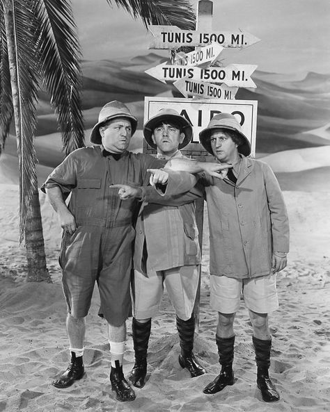 The Stooges, Three Stooges, The Three Stooges, Classic Comedies, Movie Quotes Funny, Old Tv Shows, All I Ever Wanted, Funny Movies, Old Tv