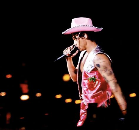 Harry Styles Coachella Weekend 2, Cowboy Outfit Men, Harry Styles Love On Tour Outfits, Harry Styles Coachella, Coachella Weekend 2, Coachella 2022, Strawberry Outfit, Love On Tour Outfits, Style Header